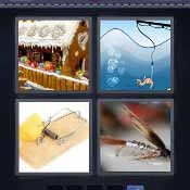 Bait