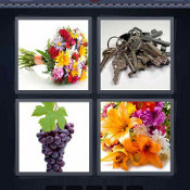 Bunch