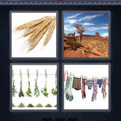 Dry