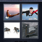 Fly