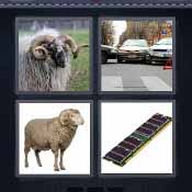 Ram