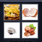 Shell