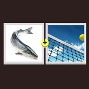 Fishnet