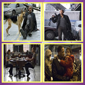 I  Am Legend