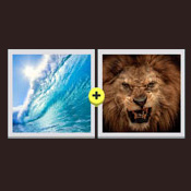 Sealion