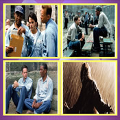 The Shawshank Redemption