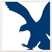 American Eagle