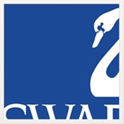 Swarovski