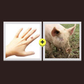 Warthog